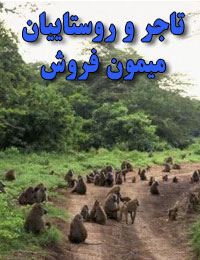 تاجر و روستاییان میمون فروش